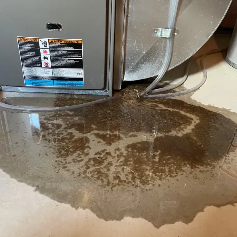 Appliance Leak Cleanup in West Elsdon, IL